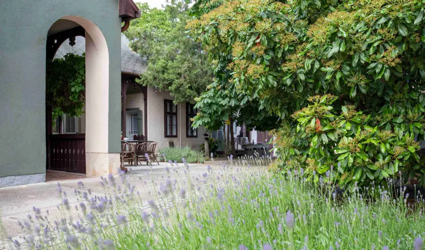 Torncos Vendghz Krshegy - Szilveszter (min. 3 j)