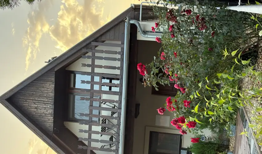 T�csi lak Szigetszentm�rton - Szilveszter (min. 2 �j)