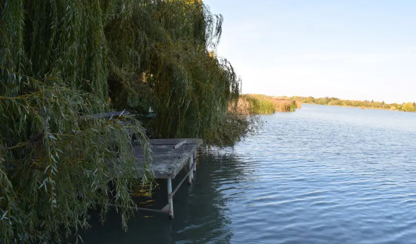 T�csi lak Szigetszentm�rton - Szilveszter (min. 2 �j)