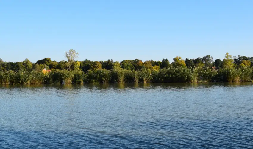 T�csi lak Szigetszentm�rton - Szilveszter (min. 2 �j)