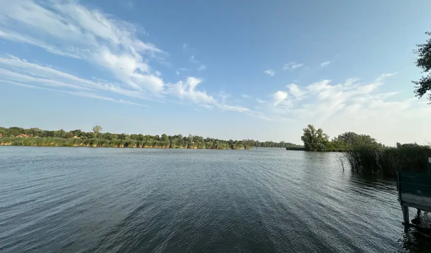 T�csi lak Szigetszentm�rton - Szilveszter (min. 2 �j)