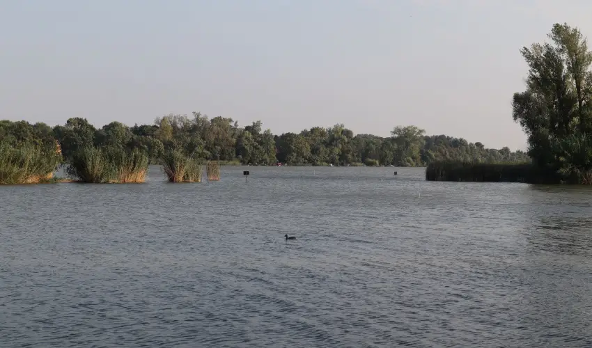 T�csi lak Szigetszentm�rton - Szilveszter (min. 2 �j)