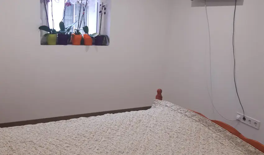 Tulip�nos Vend�gh�z �r - Szilveszter