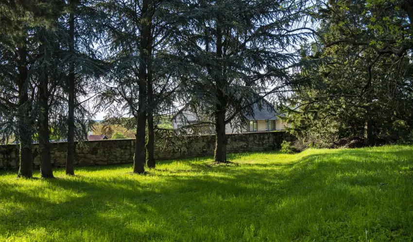 T�nd�rkert Hotel Noszvaj - Szilveszter