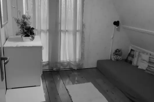 Turul Tanya - Szilveszter