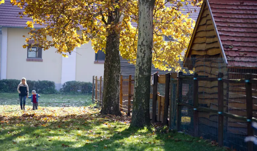 Vadkert Major Srvr - Szilveszter (min. 2 j)