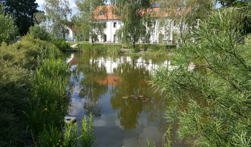 Vadkert Major Srvr - Szilveszter (min. 2 j)