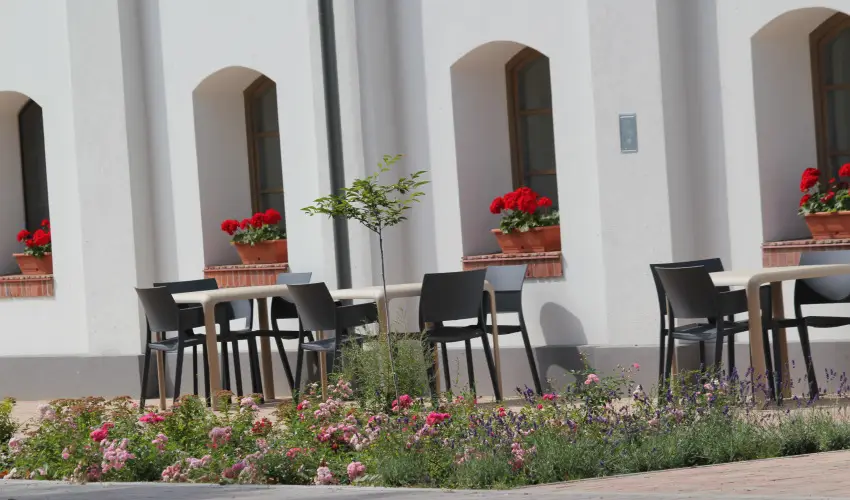 Vadkert Major Srvr - Szilveszter (min. 2 j)