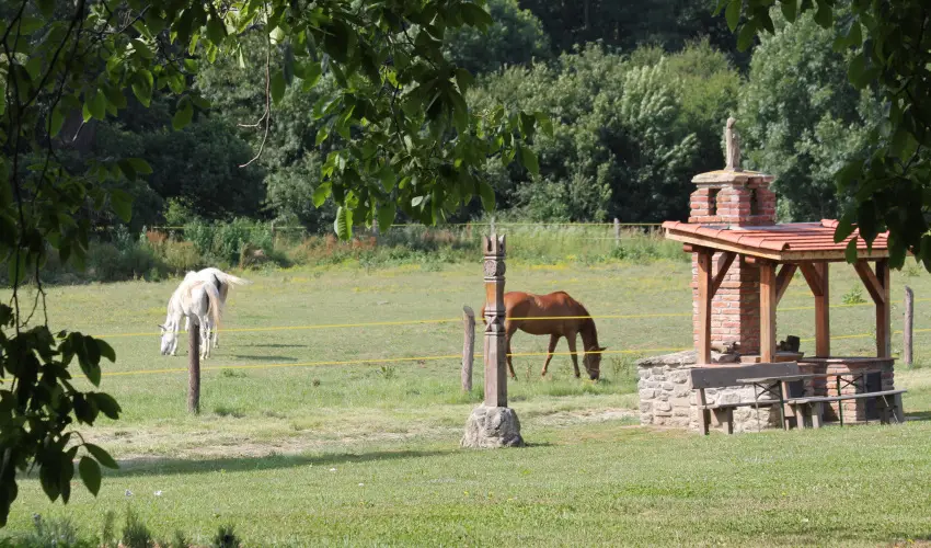 Vadkert Major Srvr - Szilveszter (min. 2 j)