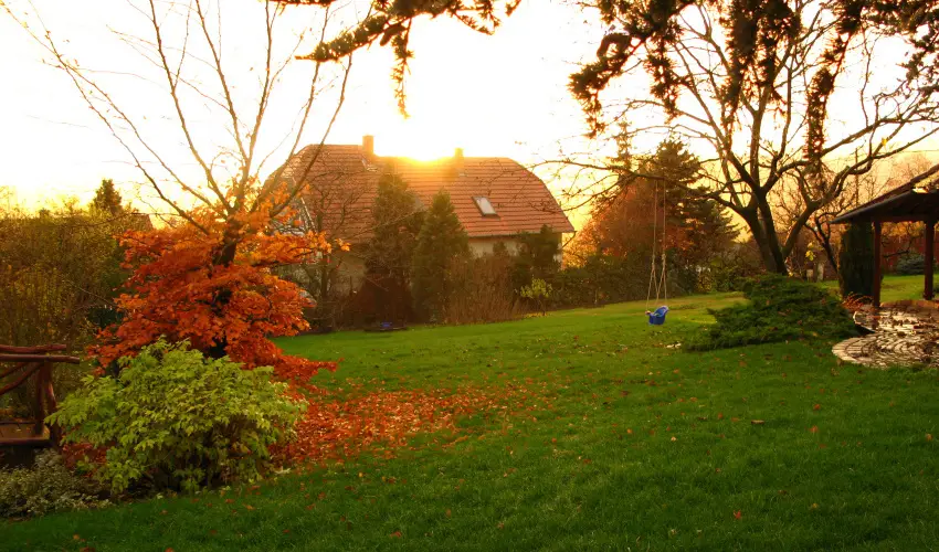 Vadr�zsa Vend�gh�z Szentendre - Szilveszter (min. 3 �j)