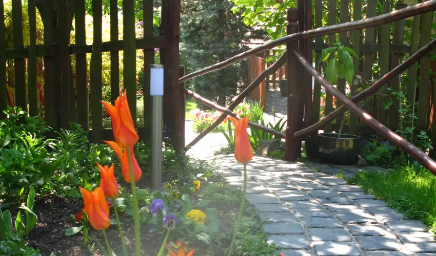 Vadr�zsa Vend�gh�z Szentendre - Szilveszter (min. 3 �j)