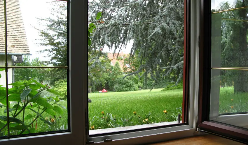 Vadr�zsa Vend�gh�z Szentendre - Szilveszter (min. 3 �j)