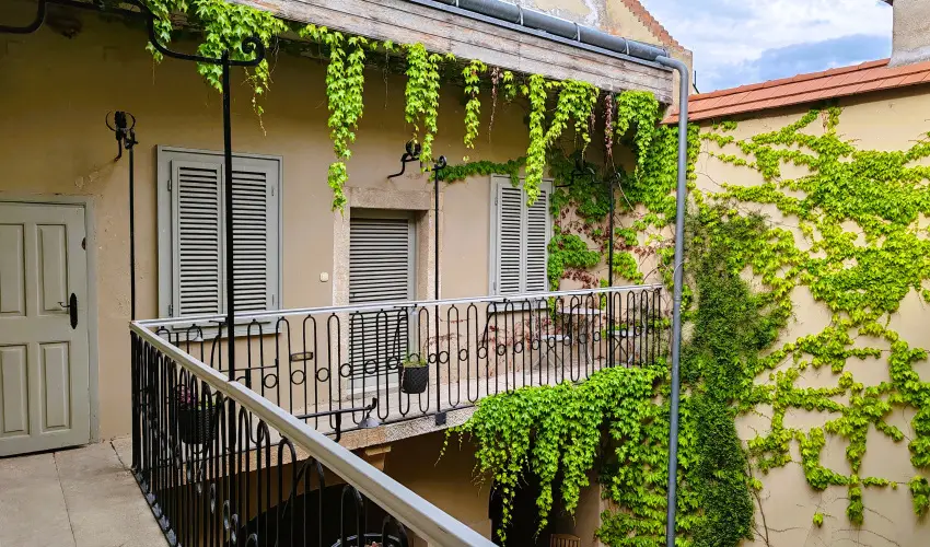 Vrosi Vendghz Szentendre Szentendre - Szilveszter