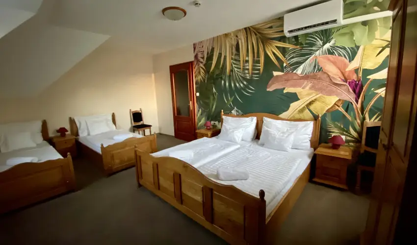 Villa Park Panzi Szilvsvrad - Szilveszter (min. 3 j)