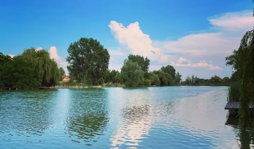 Virg dlhz Szarvas - Szilveszter (min. 3 j)