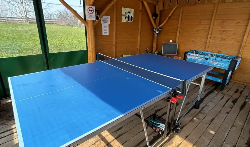 Virg dlhz Szarvas - Szilveszter (min. 3 j)