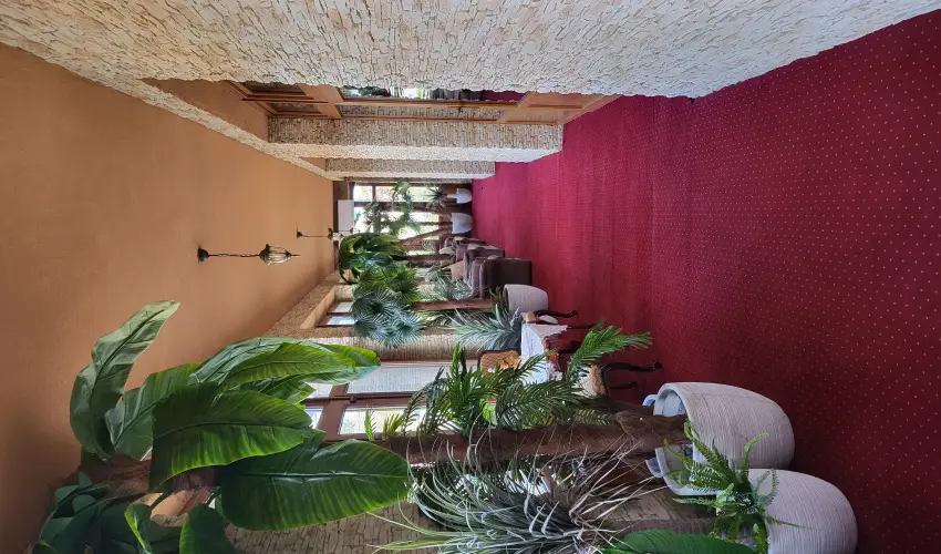 V�r�s �lom Apartman Panzi� Tiszak�cske Tiszak�cske - Szilveszter