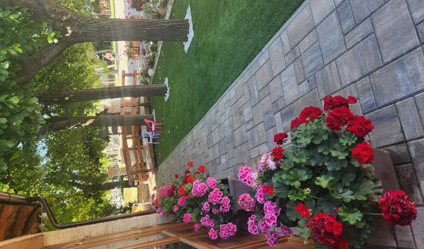 V�r�s �lom Apartman Panzi� Tiszak�cske Tiszak�cske - Szilveszter