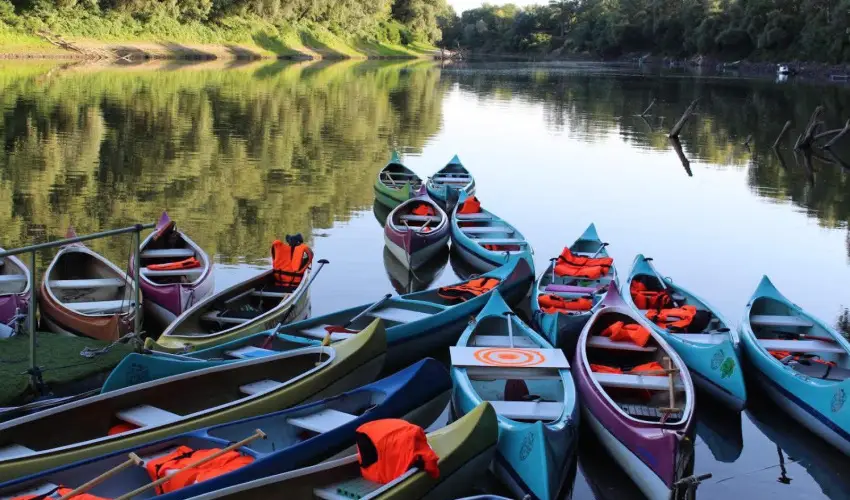 V�r�s �lom Apartman Panzi� Tiszak�cske Tiszak�cske - Szilveszter