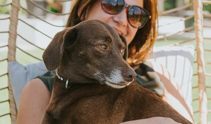 Wabi Hotel Sopron - Szilveszter