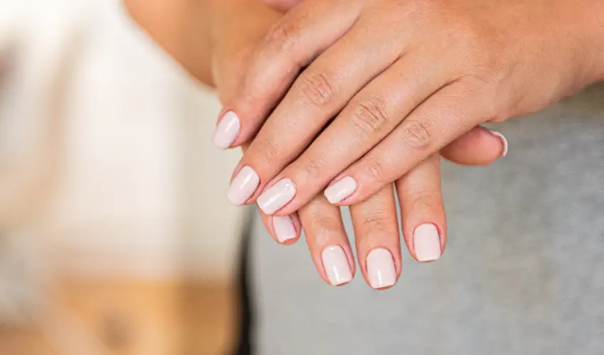 Wabi Hotel Sopron - Szilveszter