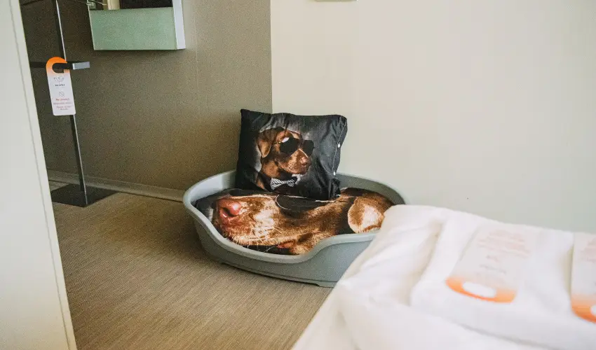 Wabi Hotel Sopron - Szilveszter