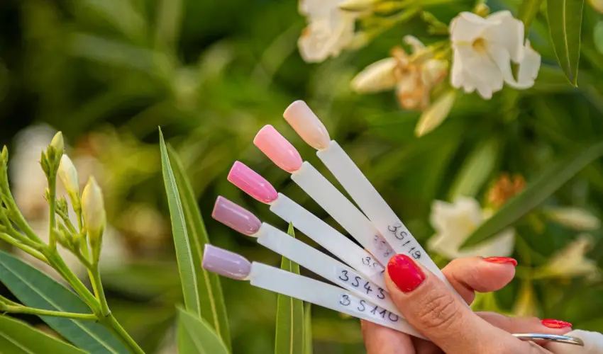 Wabi Hotel Sopron - Szilveszter