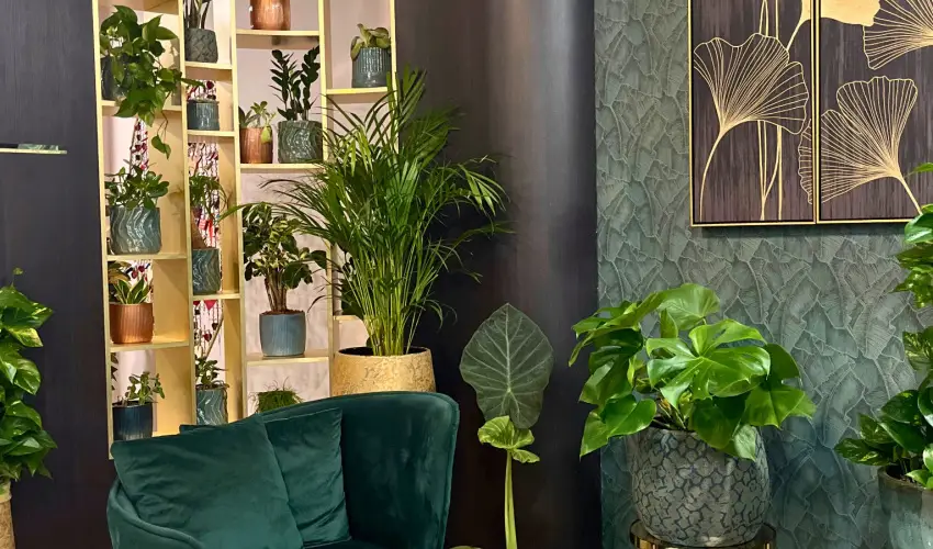 Hotel Wellamarin Zamrdi - Wella's Eve a Scala tteremben (min. 2 j)