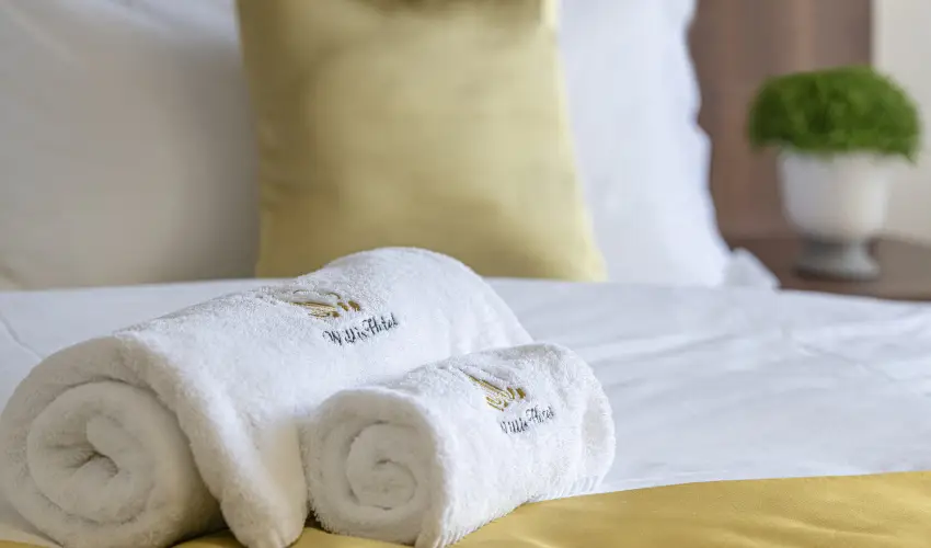 Willis Hotel Business & Wellness Zalaegerszeg - Szilveszter Zalaegerszegen (min. 2 j)