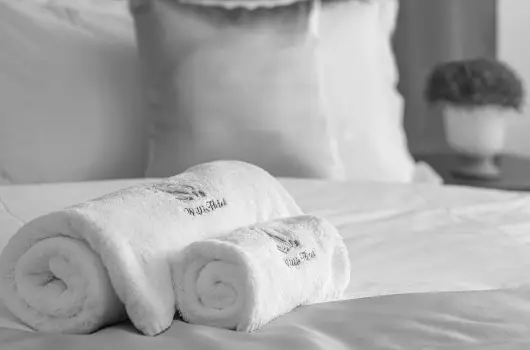 Willis Hotel Business & Wellness - Szilveszter (min. 2 j)