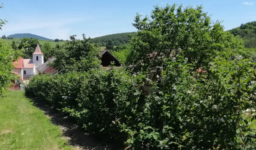 Zemplni Tndrkert Vendghz Fzrkomls - Szilveszter (min. 2 j)