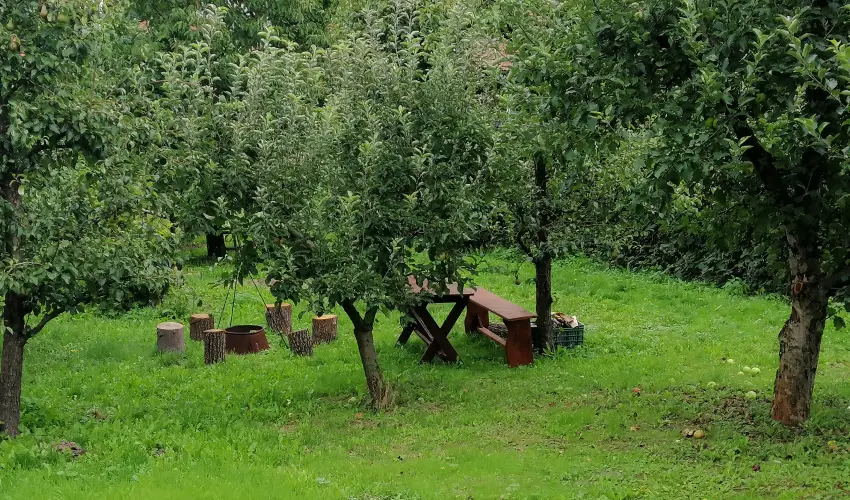 Zemplni Tndrkert Vendghz Fzrkomls - Szilveszter (min. 2 j)