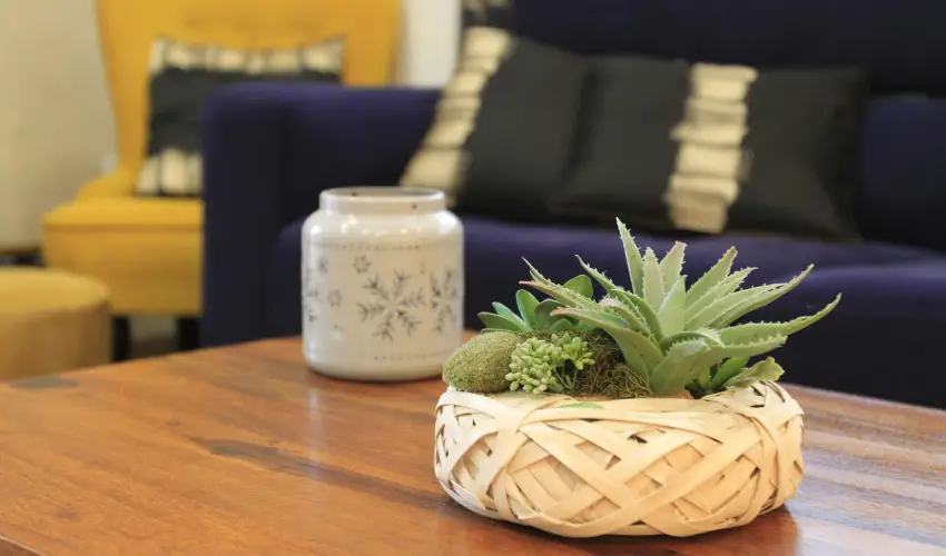 Zenit Panzi Miskolctapolca - Szilveszter