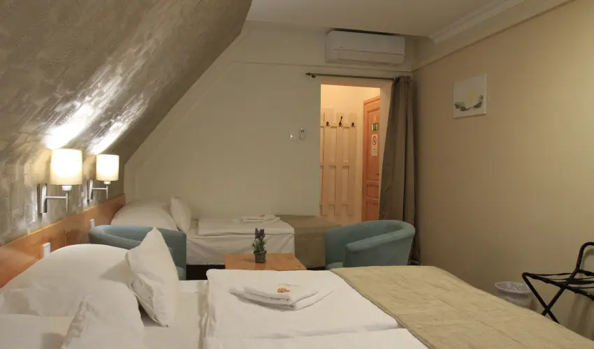 Zenit Panzi Miskolctapolca - Szilveszter