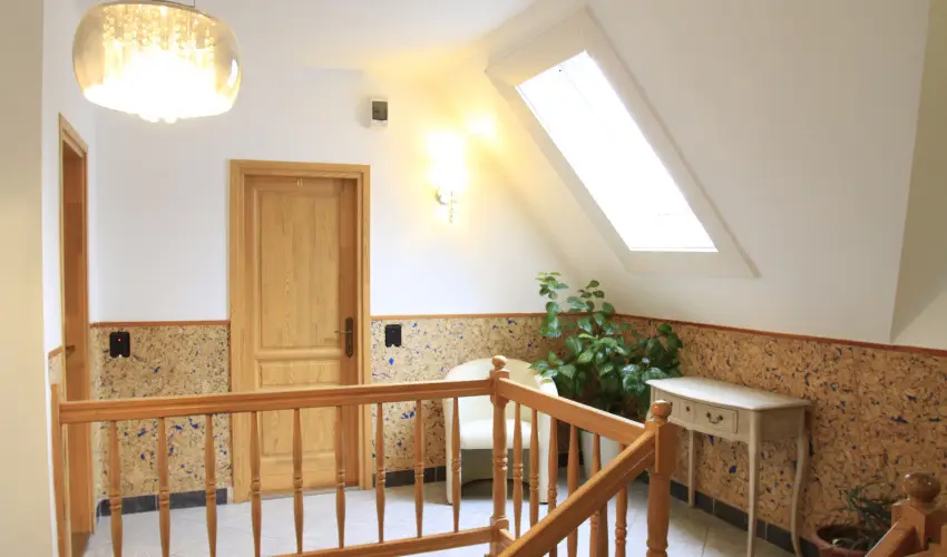 Zenit Panzi Miskolctapolca - Szilveszter