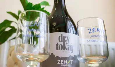 Zenit Panzi Miskolctapolca