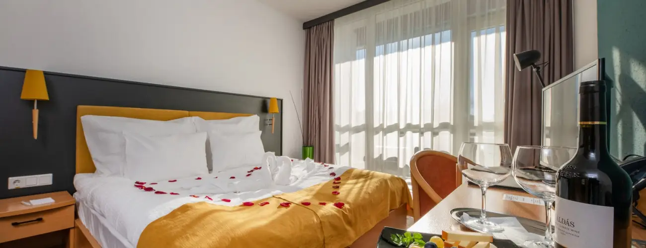 Zsry Liget Hotel & Spa Mezkvesd - Szilveszter