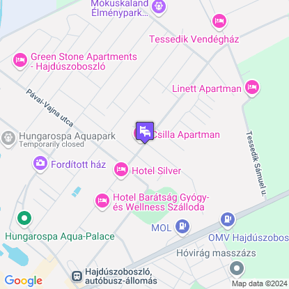 Anna Vendghz a trkpen